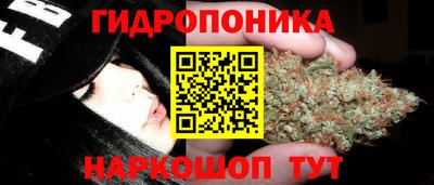 прущие крисы Бузулук