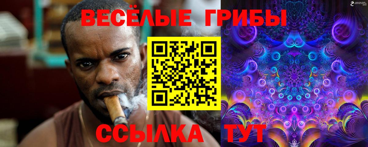 Симферополь  Галлюциногенные грибы GOLDEN TEACHER  Галлюциногенные грибы ЛСД  Вход с VPN 